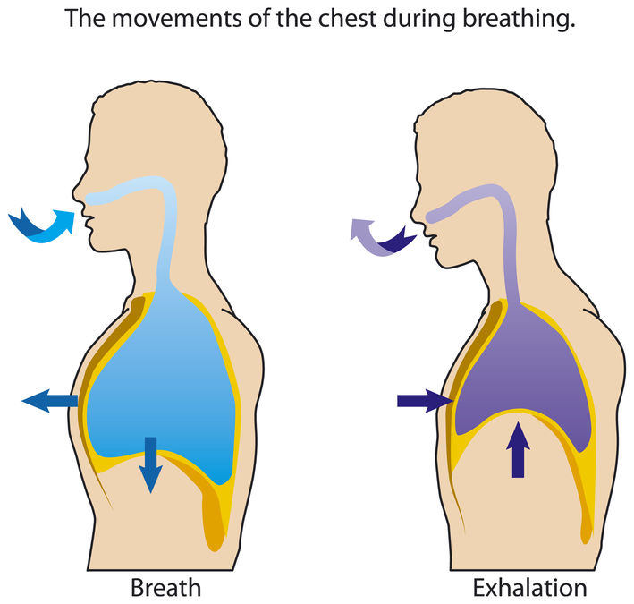 Breathing-Inhale-Exhale Vacuum and pressure while breathing.